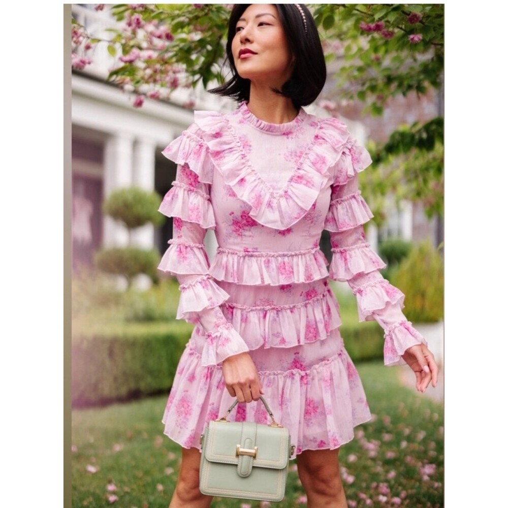 Ivy City Co Long Sleeve Pink Garden State Floral Ruffle Dress Size 10